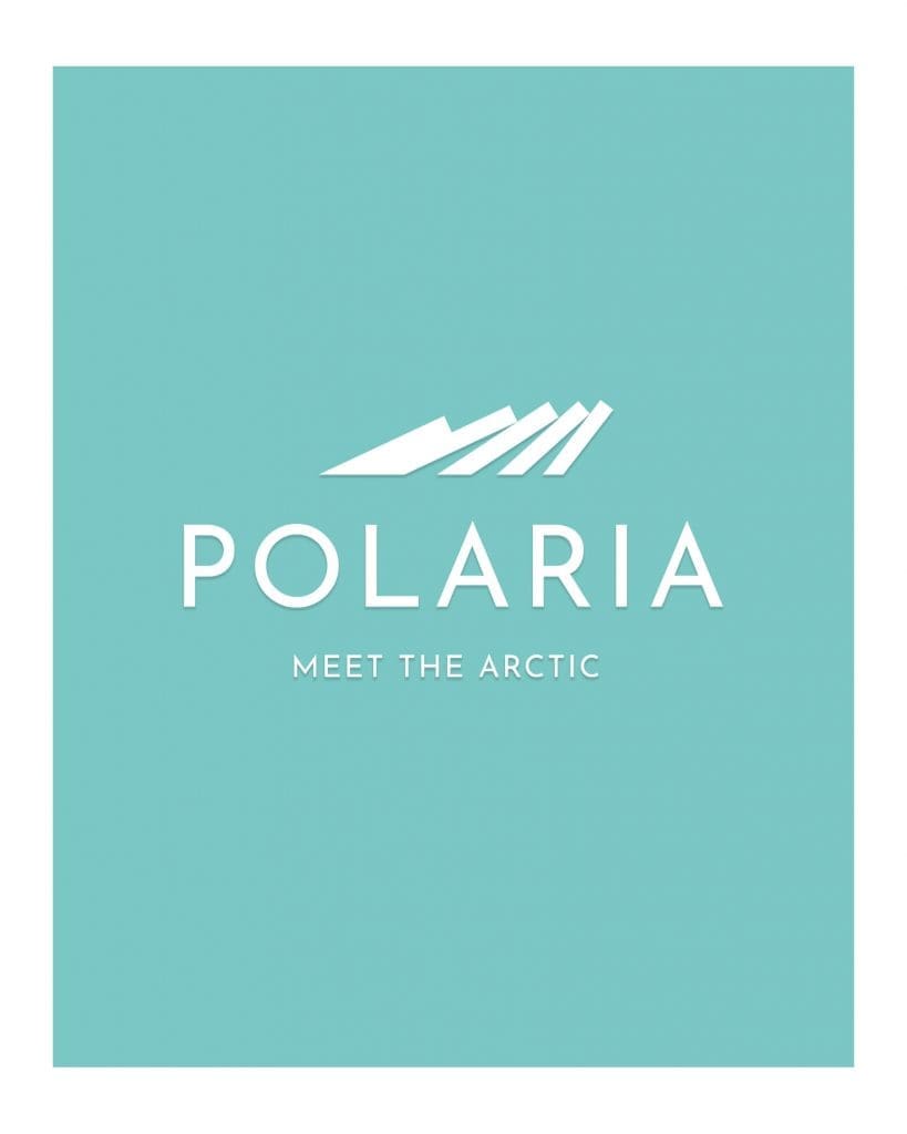 logo-portrett-web