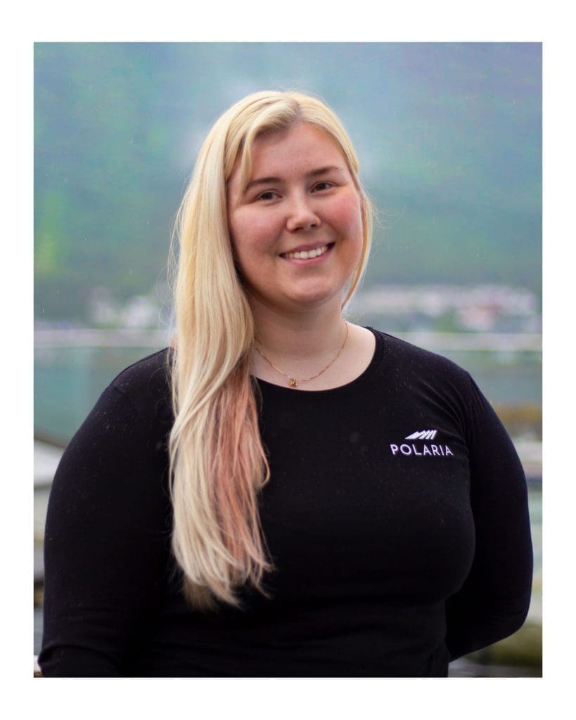vilde-web