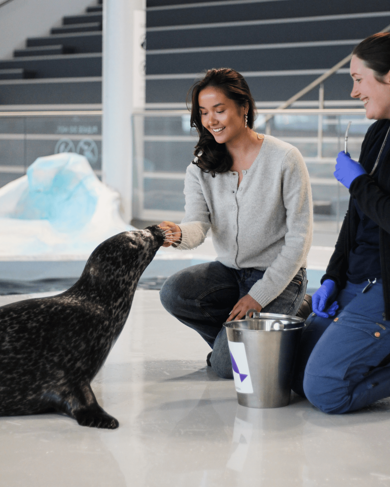 selfadder_polaria-17